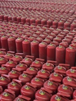 Directement de l'usine chinoise : Extincteurs à CO2 de 2 kg/5 kg/10 kg (personnalisables), construction en acier au carbone.