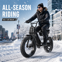Vélo Électrique Adulte ZUMI V20 20 Pouces, Batterie Lithium 48V 13Ah, Moteur Arrière Sans Balais, Stock US EU Brésil, Commande en Gros OEM ODM