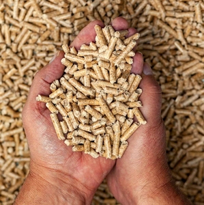 Vietnam Factory Premium Wood Pellets 6mm 8mm Diameter for Global Export Low Moisture Content Bulk Supply Factory Direct - Product Image 1