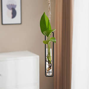 Vase décoratif hydroponique en verre borosilicate, style nordique <span class=keywords><strong>de</strong></span> luxe, écologique, pour mariage, maison, <span class=keywords><strong>pot</strong></span> suspendu mural pour Pothos - Product Image 4