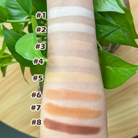 Poudre compacte imperméable naturelle 8 couleurs Poudre compacte compacte personnalisée Logo privé Poudre de fond de teint maquillage