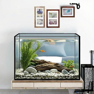 Directo de Fábrica de Vidrio - Tanque de Vidrio Ultra Blanco al por Mayor para Construcción de Acuarios Personalizados - Product Image 1