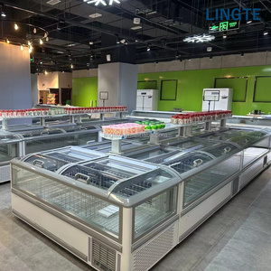 Congelador Horizontal Integrado de 1000 Litros para Alimentos Congelados, Enfriamiento Estático para Venta al por Mayor en Fábrica - Product Image 6
