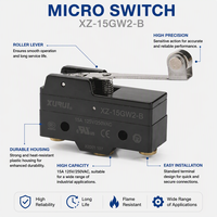 Micro-interrupteur en plastique SPDT 250 VCA approuvé TUV CE CCC (XZ-15GW2-B) Type levier à charnière IP40 Contact argenté Usage industriel