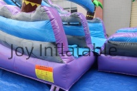 Mini Park Shark Tente Commerciale Professionnelle Gonflable, Château Gonflable Personnalisable en Taille et Couleur, Matériau PVC 0,55 mm pour Fête au Bord de la Piscine