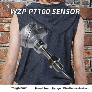 เซ็นเซอร์วัดอุณหภูมิแบบต้านทานความร้อนอุตสาหกรรม WZP (Pt100 RTD) ระดับ IP68 ทำจากสแตนเลส ความละเอียด 0.1 องศาเซลเซียส รองรับการปรับแต่งแบบ OEM/ODM รุ่น B - Product Image 2