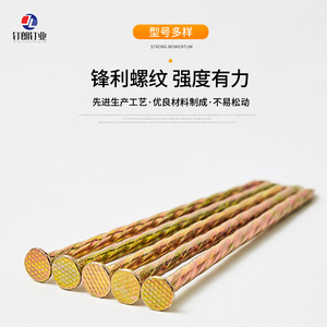 Clous torsadés Dinglong Industry 40mm 50mm 60mm 80mm 90mm 100mm 125mm 150mm 200mm en acier zingué à tige spirale - Product Image 1