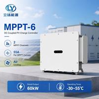 Contrôleur MPPT 60 kW pour centrale solaire avec 2 canaux MPPT et communication RS485 pour l'intégration de stockage d'énergie photovoltaïque