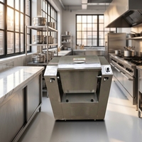 Mélangeur à pâte industriel pour aliments, machine à pétrir électrique en acier inoxydable de qualité alimentaire 304, usage domestique, 15 kg/25 kg/50 kg