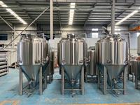 Cuve de Fermentation de Bière en Acier Inoxydable Cassman 300L 500L 1000L 2000L, Vessel sous Pression à Commande PLC, Moteur Haute Performance