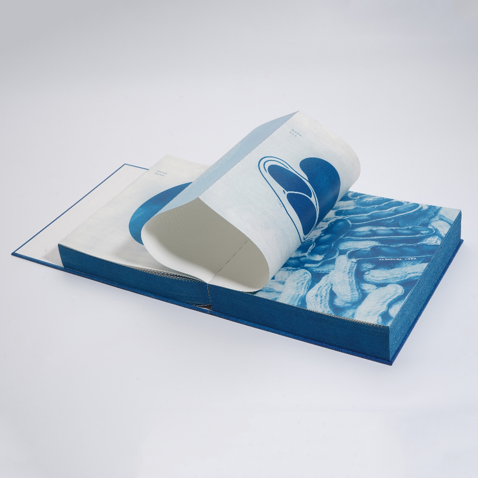 Custom Large Format Box Packaging and Product Catalog Printing Service for Wholesale Orders