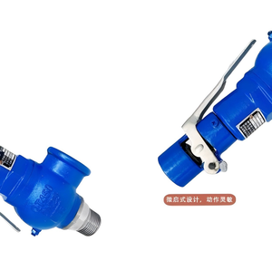 Soupape de sécurité manuelle filetée DN40 de haute qualité en fonte ductile - Product Image 4