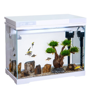 Petit réservoir d'<span class=keywords><strong>aquarium</strong></span> de bureau ultra-blanc Réservoir à poissons en verre écologique avec poisson rouge pour bureau ou salon 220V - Product Image 1