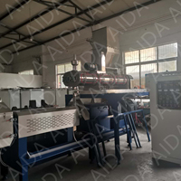Machine de fabrication de granulés d'aliments pour poissons entièrement automatique de haute qualité (1-10 mm) avec moteur, haute capacité, approvisionnement direct usine
