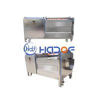 Automatische Droge Fruit En Groente Wasmachine Roterende Borstelroller Voor Verwerking Plant Met Water Als Grondstof