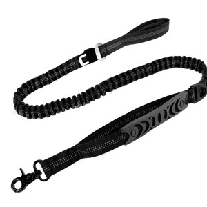 Correa Elástica Reflectante para Perro OEM de 2.5X120Cm, Tamaño Mediano, con Abrazadera Metálica para Pasear Mascotas - Product Image 1