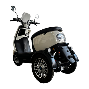Triciclo Elettrico per Adulti 1000W 60V, Scooter <span class=keywords><strong>a</strong></span> <span class=keywords><strong>Tre</strong></span> Ruote con Carrozzeria Aperta per 2 Passeggeri - Product Image 2