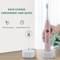 Outil de nettoyage des dents de blanchiment noir brosse à dents électrique adulte Rechargeable avec têtes de brosse de recharge 2 pièces