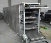 Séchoir à bande transporteuse industriel pour herbes, épices, légumes, fruits et matières agricoles
