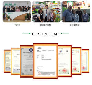 250ml/330ml/500ml Pet Round Einweg-Plastik dosen mit leicht zu öffnendem Deckel für Cola, Milch tee, Kaffee, Sodawasser - Product Image 2