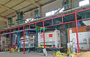 10-15tph Seed Processing Plant <strong>Supplier</strong> <strong>Coffee</strong> <strong>Bean</strong>/Mung Green <strong>Bean</strong> Cleaning Machine Grain Cleaning and Grading Machine - Product Image 3