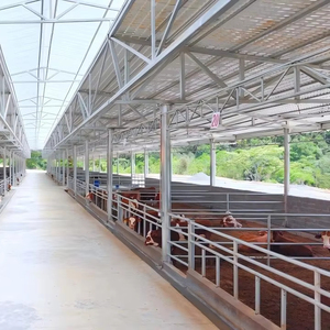 Structure en acier pour l'élevage de 5 000 vaches - Product Image 1
