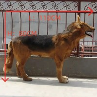 Mannequin de décoration en forme de loup, chien berger allemand, taille naturelle, fabriqué en usine