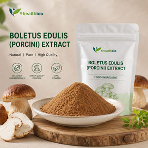 Extracto Orgánico de <span class=keywords><strong>Boletus</strong></span> Edulis, Extracto Natural de Hongo Porcini en Polvo, Extracto Vegetal Vegano, Sin OMG, a Granel, OEM - Product Image 1