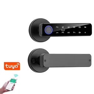 TTlock Anti Theft Smart Door Lock Tuya Wifi Biometric Intelligent Electronic Fingerprint Smart Locks
