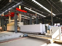 Machine de fabrication de briques AAC entièrement automatique Cendres volantes Usine AAC Ligne de production de blocs de béton cellulaire autoclavés