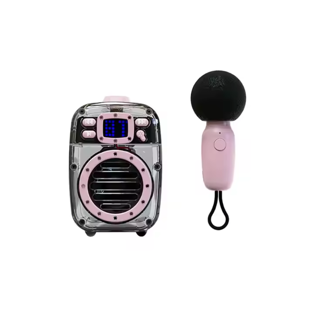 Portable Karaoke Bluetooth Speaker IPX6 Waterproof 10W with Wireless Mic Rechargeable Battery 2000mAh for Beach Party Outdoor