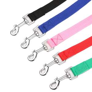 Collier en nylon pour chiots et chats - laisse de dressage et de promenade pour animaux de compagnie - Product Image 3