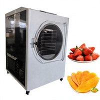 Lyofilisator Vacuümvriesdroger 3-5kg Capaciteit Voedselvriesdroger Prijs Fruit Groente Vriesdroogmachine