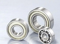 Bantalan Bola Alur Dalam Stainless Steel 61809-LS C3 Clearance 45x58x7mm Baris Tunggal Metrik ZZ Shield Pelumasan Minyak Gemuk