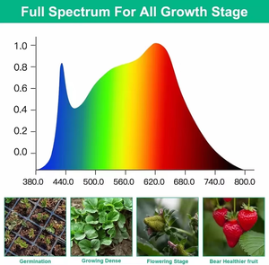 LED-buis T8 32W 120cm Hoge Vermogen LED-buis Aluminium Behuizing Binnenkweeklamp Groei-/Bloei-LED-kweeklamp voor Microgreens - Product Image 5