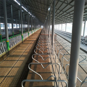 Estructura de Acero para Construcción de Establos de Vacas <span class=keywords><strong>con</strong></span> Acero Q345B para un Diseño de Granja Eficiente y Duradero - Product Image 5