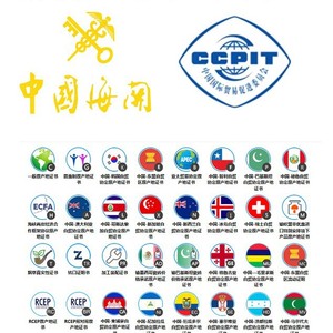 Certificado de Despacho de Aduanas, Formulario de Autocertificación para China, Corea, FTA, Costa Rica, Documentos de Importación y Exportación de Mercancías de Origen - Product Image 3