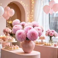 Fleurs fraîches coupées en gros 2026 : Pivoine, Chrysanthème et Strawflower en provenance directe de Chine