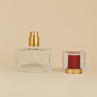 Perfume Corporal Personalizado de Marca Privada Stout para Mujeres y Hombres, Fragancia de Lujo de Larga Duración, OEM ODM