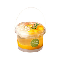 Seau en plastique vide de 300 ml/500 ml/1 l pour confiture, crème glacée, yaourt, récipient en PP transparent, récipient de stockage alimentaire avec couvercle pour liquides