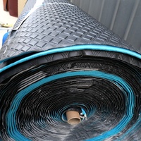 Tapis de sol de voiture en PVC, 3d & 5d, sans fil, en cuir XPE, en rouleau, prix garanti