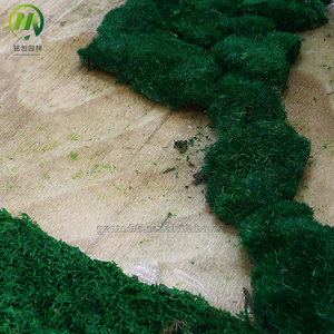 Natural Real <strong>Moss</strong> Wall Art Frame For Home Office Decor Green Wall <strong>Moss</strong> Natural Preserved <strong>Moss</strong> Wall - Product Image 6