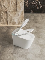 Toilet Pintar Satu Bagian yang Ramping dengan Kursi Berpemanas & Pembilas Otomatis, Toilet Bidet Cerdas Modern dengan Lampu LED Ambient
