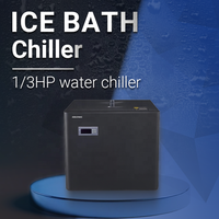 Usine 0.3hp automatique Portable extérieur refroidisseur d'eau nouveau compresseur construit pompe refroidi à l'eau bain de glace refroidisseur d'eau facile à installer