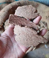 Huile de noix de coco premium naturelle, issue de noix de coco séchée pressée, riche en fibres, produit dérivé végétal pour l'agriculture |   Ahalya Devi Ventures
