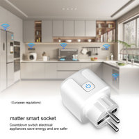 Matter Tuya Smart Plug Mini WiFi Smart Plug Socket Alexa Voice Control Moniteur de synchronisation sans fil pour US EU KU Home Smart Products