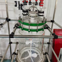 Reactor de vidrio encamisado de 100L 150L con filtro para procesos de cristalización y reacciones químicas