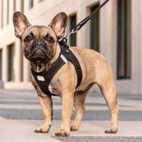 Harness Anjing Model Step-in Bahan Mesh Lembut Reflektif, Bernapas, dengan Buckle Lepas Cepat, Tanpa Tarikan, Dilengkapi Bantalan Empuk