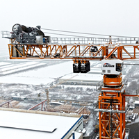 Grúa Torre Plana DH2500 de 200 Toneladas, Altura Máxima 106m, Equipo de Elevación para Construcción, Motor/Engranaje/PLC, Marca DAHAN, ISO CE GOST