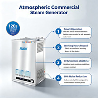 Générateur de vapeur au gaz naturel JOWIN 60KW à économie d'énergie, chaudière à vapeur 80kg/h avec système de sécurité pour la transformation alimentaire et les cuisines centralisées